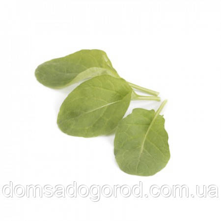 Рукола СПАРКЛ | SPARKLE Rijk Zwaan 1 000 000 шт