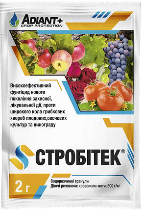 Фунгіцид Стробитек/ Стробі, 2 р — контактний фунгіцид з лікувальним дією, фото 2