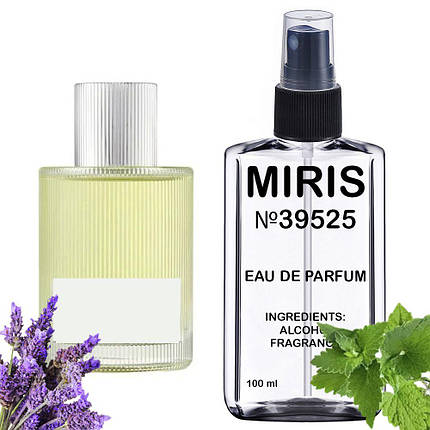 Духи MIRIS №39525 (аромат схожий на Tom Ford Beau de Jour) Чоловічі 100 ml, фото 2