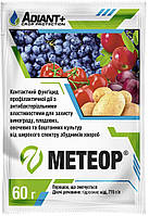 Метеор контактный фунгицид, 60 г медь содержащий фунгицид, профилактического действия