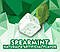 Жвачка Ice Breakers Ice Cubes Spearmint мята, фото 3