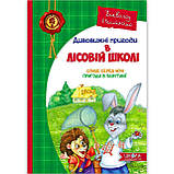 Дивовижні пригоди в лісовій школі Подарунковий комплект з 4 книг Авт: Нестайко В. Вид: Школа, фото 4