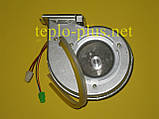 Вентилятор 30012680A (PAFA4A07001_001, PAFA4B06201_001) Navien Ace TURBO Coaxial 10К, 13K, 16К, 20К, 24К, 30К, Deluxe 10-30 kw, фото 2