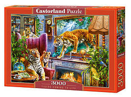 Пазл 3000 ел. "Castorland" (Польща) / Тигри оживають