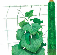 Огіркова сітка "Intermas" зелена 1,7*60м
