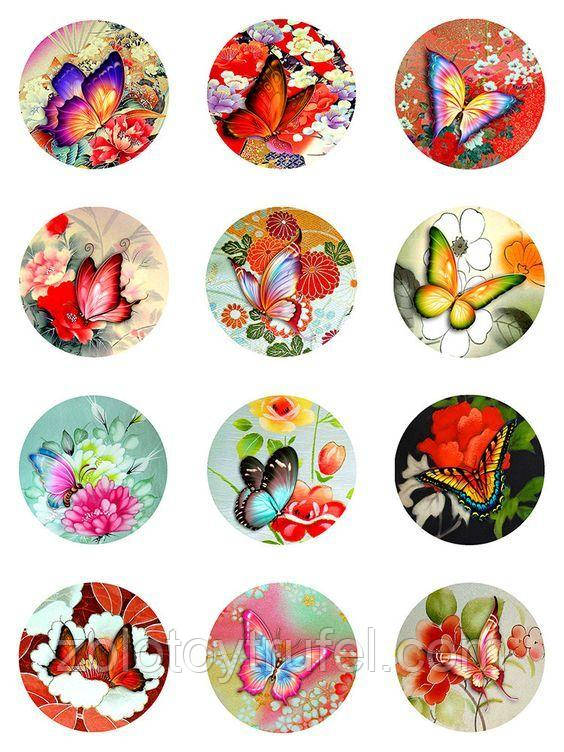 Метелики 11, фото 1