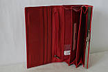 Гаманець жіночий червоний натуральна шкіра Mario Dion, фото 4