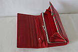 Гаманець жіночий червоний натуральна шкіра Mario Dion, фото 6