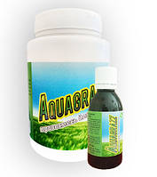 Aquagrazz - Комплекс Жидкий газон-органическая смесь + Травосмесь для газона (Акваграз)