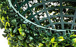 Штучна рослина кущ, Самшит, зелений, 23 см (960019), фото 3