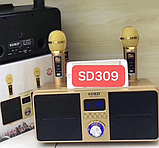 КАРАОКЕ Портативна бездротова колонка Bluetooth два мікрофона SDRD - SD309 ( пісня ), фото 7