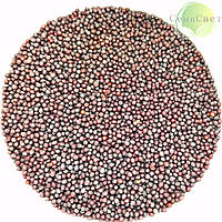 Насіння капусти броколі Calabrese мікрозелень 100г