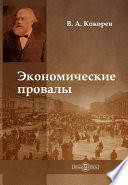 Кокорев В.А. Економічні провали