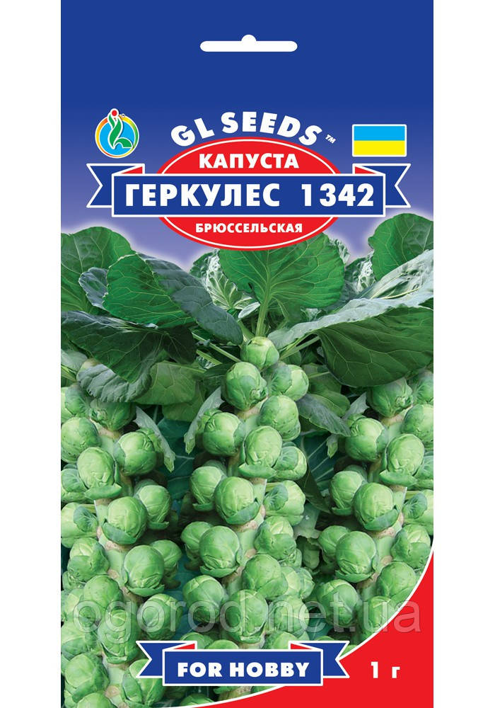 Капуста Брюссельська Геркулес GL Seeds