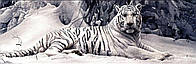 Алмазная вышивка белый тигр в зимнем лесу 60х20 см, полная выкладка, квадратные стразы