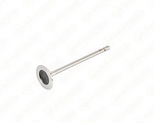 Впускний клапан на Renault Lodgy 2012-> 1.6 16V - NPR-NE - 147038000200