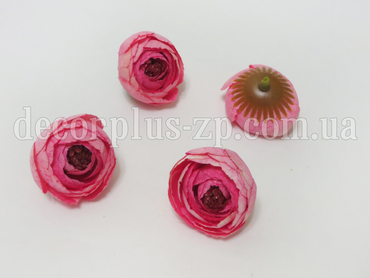 Головка камелії "Прованс", рожева, фото 1