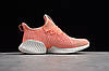 Кросівки жіночі Adidas Alphabounce Instinct CC / ADM-2860, фото 5