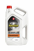 TEXACO Havoline XLC Concentrate, Антифриз-концентрат, 5 л (G12+)