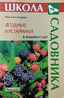 Ягодные кустарники в вашем саду. Александрова М.