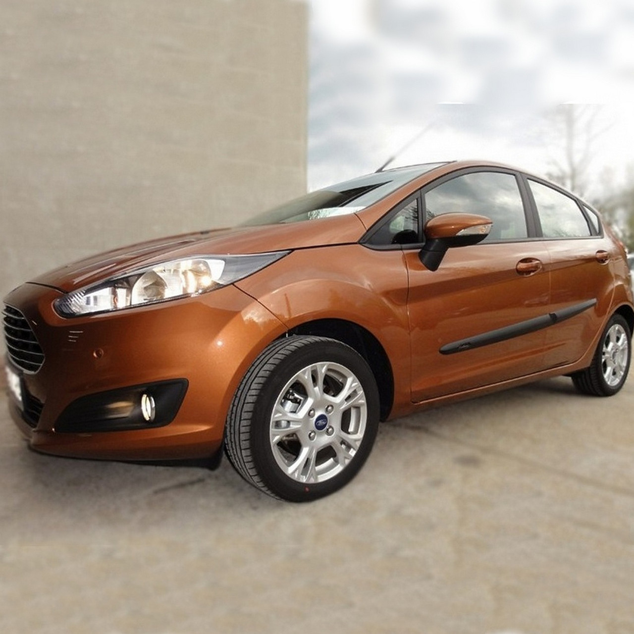 Молдинги на двері для Ford Fiesta 5Dr 2008-2017