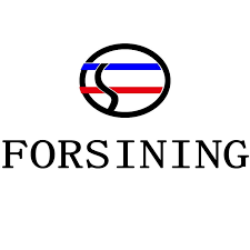 Годинник бренду Forsining