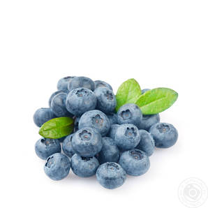 Саджанці Лохини