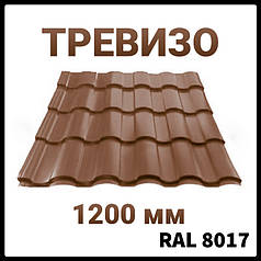 Металочерепиця Термастил ТРЕВІЗО 0,45 мм мат (Модуль Україна)