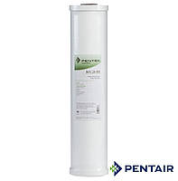 Pentek RFC-20BB - (картридж) фильтр с активированным углем тонкой очистки воды, (Pentair Water USA)