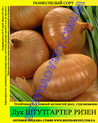 Насіння цибулі «Штутгартер Різен» 10 кг (мішок)