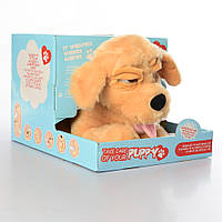 Игрушка музыкальная собака MP 2082 звук реагирует на аксессуары и прикосновение набор доктора мягкая