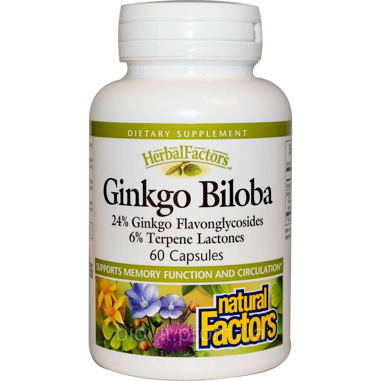 Гінгко білоба (Ginkgo Biloba), фото 1