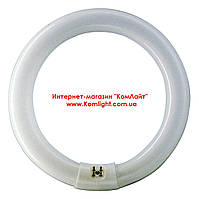 Лампа світлодіодна кільцева OSRAM ST9-32 20W/865 220-240V EM G10Q