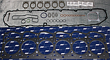 Верхний набор прокладок DAF XF105 CF85 верхний набор прокладок ДАФ  MX 265/300/340/375, фото 2