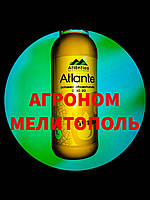 Atlante (Атланте),  1л