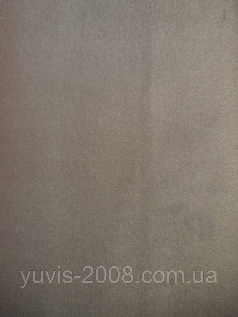 Багира 18 SILVER POPLAR