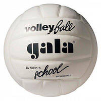 М'яч волейбольний Gala School FBV5031SBE