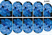 Слайдери А160 А161 А162 А163 А164 А165 А166 А167 А168 А169