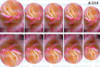 Слайдеры А210 А211 А212 А213 А214 А215 А216 А217 А218 А219