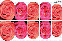 Слайдери А230 А231 А232 А233 А234 А235 А236 А237 А238 А239