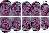 Слайдери А260 А261 А262 А263 А264 А265 А266 А267 А268 А269