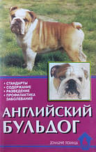Англійський бульдог. Стандарти. Вміст. Розведення. Профілактика захворювань.