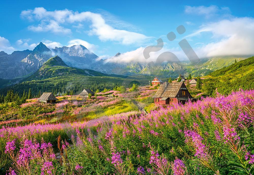 Пазли на 1000 елементів Татри, Польща (природа), (Castorland, Польща)