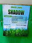 Насіння трави газонна Тіньова, ТМ Green Field RasenSamen (Україна), 4 кг, фото 3