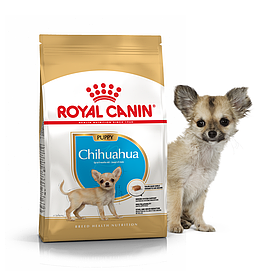 Royal Canin Chihuahua Puppy 1,5 кг cухий корм для цуценят породи чихуахуа до 8-ми місяців
