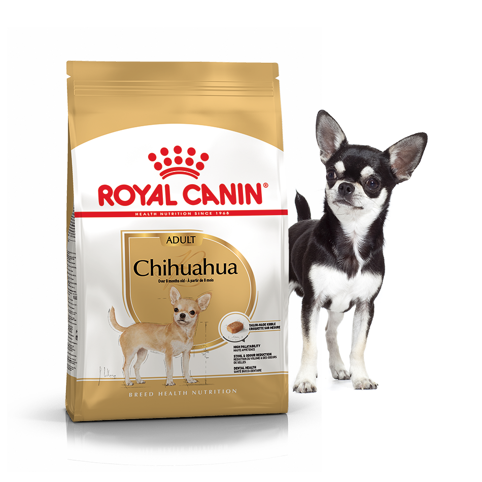 Royal Canin Chihuahua Adult 0,5кг корм для дорослих собак породи чихуахуа від 8 місяців