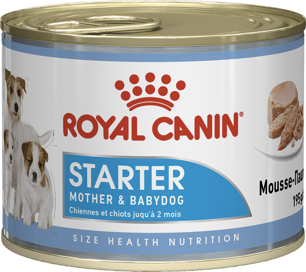 Royal Canin Starter Mousse 0,195кг мус для цуценят до 2 місяців