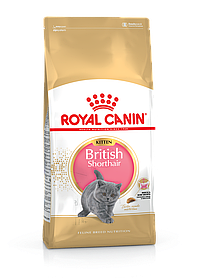 Royal Canin Kitten British Shorthair 2кг Сухий корм для кошенят британської короткошерстої породи