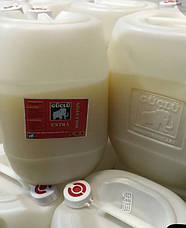 ГУМОВИЙ КЛЕЙ