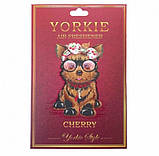 Ароматизатор в авто/гардероб парфумований Yorkie Style CHERRY Montale, фото 2